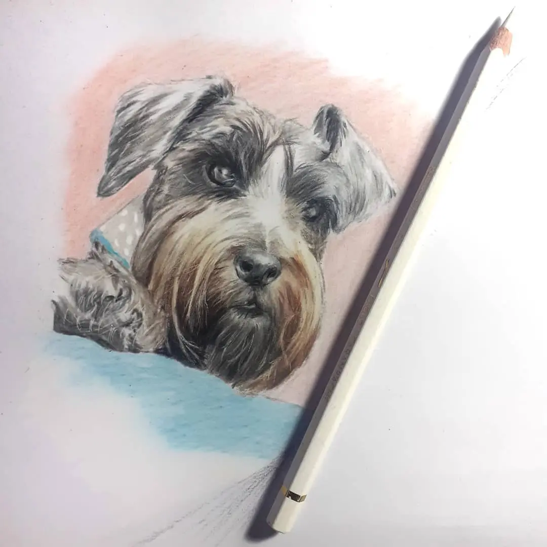 Draw 5 in Technique: Colored Pencils